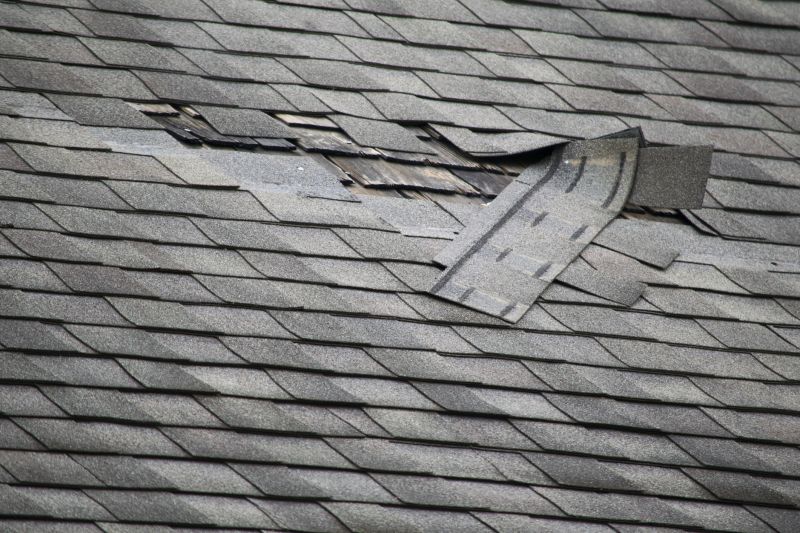 Damaged Shingles Replacement