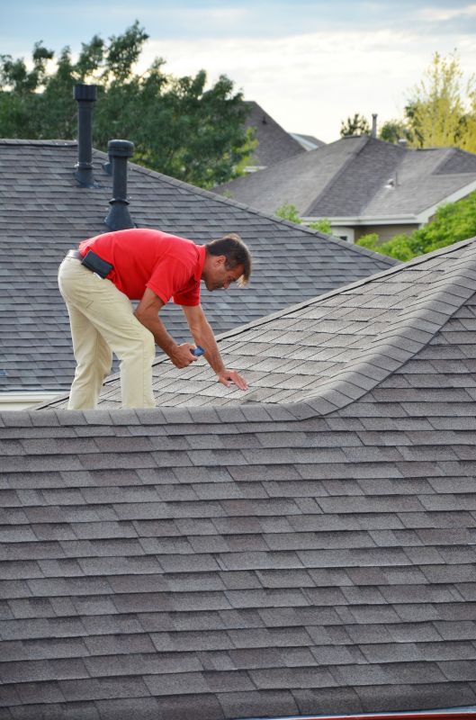 Roof Maintenance Programs