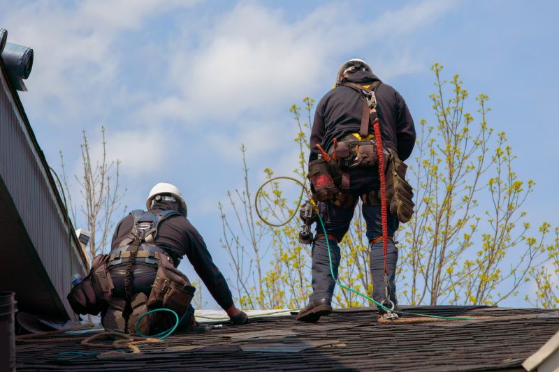 Professional Roofing Contractors